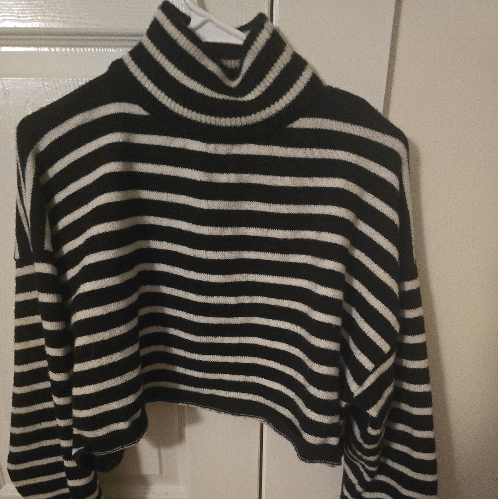 Cropped Turtleneck Sz LG